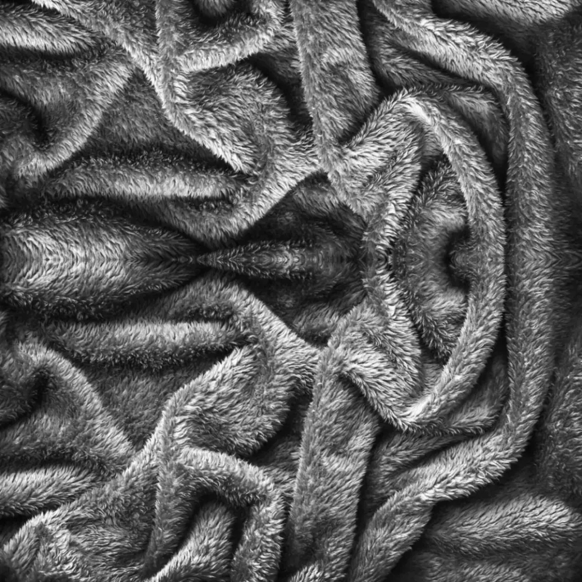 6447b046be89d_large_09e82311-b31f-49c5-94cb-db799eaa77f4